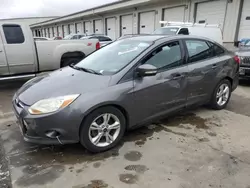 2013 Ford Focus SE en venta en Louisville, KY