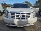 2008 Cadillac Escalade Luxury