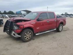 2013 Ford F150 Supercrew en venta en Newton, AL