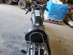 2004 Harley-Davidson Vrscb