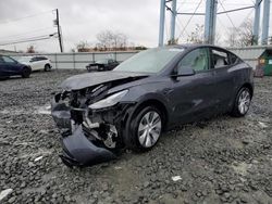 2024 Tesla Model Y en venta en Windsor, NJ