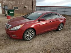 Hyundai Vehiculos salvage en venta: 2013 Hyundai Sonata SE