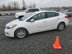 Salvage cars for sale at Arlington, WA auction: 2014 KIA Forte EX