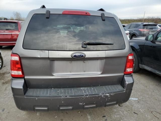 2009 Ford Escape XLT