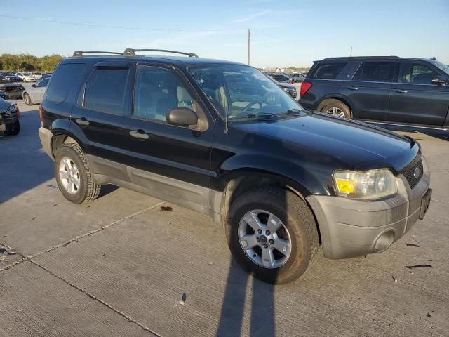 2007 Ford Escape XLT