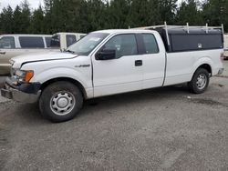 Ford Vehiculos salvage en venta: 2013 Ford F150 Super Cab