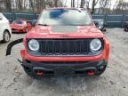 2017 Jeep Renegade Trailhawk