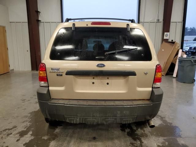 2007 Ford Escape XLT