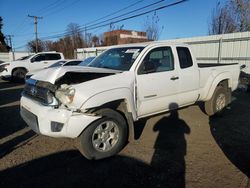 Vehiculos salvage en venta de Copart New Britain, CT: 2013 Toyota Tacoma Access Cab