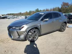 Salvage cars for sale at Memphis, TN auction: 2019 Lexus UX 200