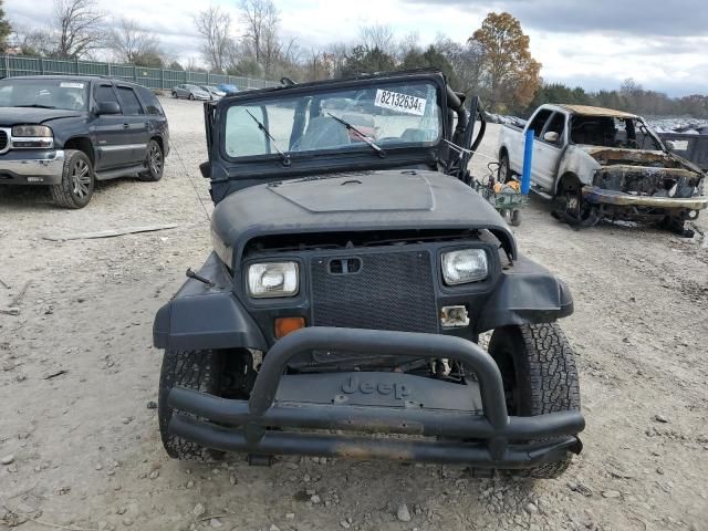 1993 Jeep Wrangler / YJ