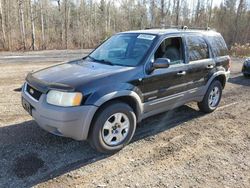 2001 Ford Escape XLT en venta en Cookstown, ON