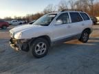 2004 Hyundai Santa FE GLS