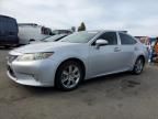 2013 Lexus ES 300H