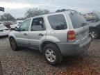 2007 Ford Escape XLT