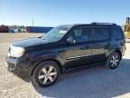 2014 Honda Pilot Touring