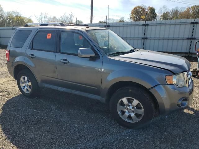 2011 Ford Escape Limited