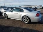 2001 Ford Mustang GT