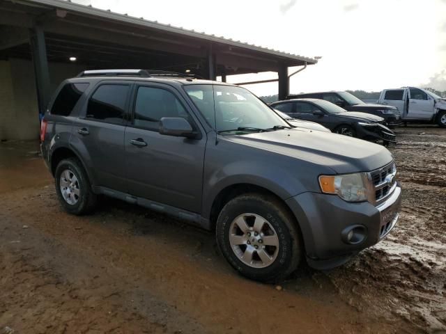 2011 Ford Escape Limited