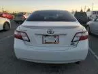 2009 Toyota Camry Hybrid