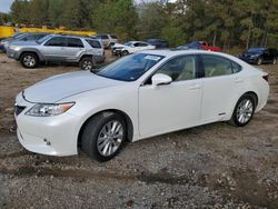 2013 Lexus ES 300H en venta en Gaston, SC