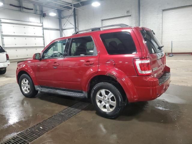 2010 Ford Escape Limited