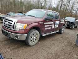 2009 Ford F150 Supercrew en venta en Cookstown, ON