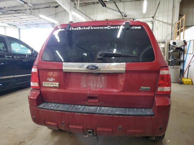 2010 Ford Escape Limited