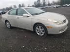 2005 Lexus ES 330