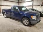 2009 Ford F150