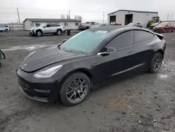 Salvage cars for sale at Airway Heights, WA auction: 2019 Tesla Model 3