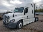 2015 Freightliner Cascadia 125