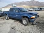 2002 Dodge Dakota Quad Sport