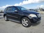 2010 Mercedes-Benz ML 350