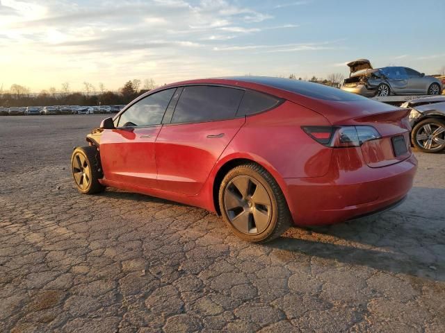 2021 Tesla Model 3