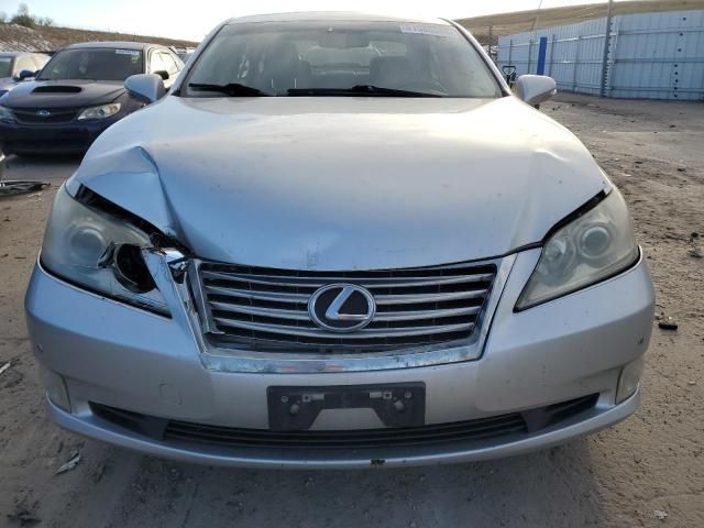 2010 Lexus ES 350