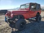 1995 Jeep Wrangler / YJ S