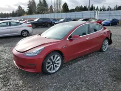 Salvage cars for sale at Graham, WA auction: 2019 Tesla Model 3