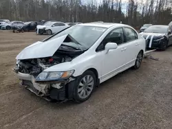 Salvage cars for sale from Copart Cookstown, ON: 2009 Honda Civic EXL