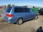 2008 Honda Odyssey EXL