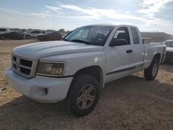 Dodge Vehiculos salvage en venta: 2011 Dodge Dakota SLT