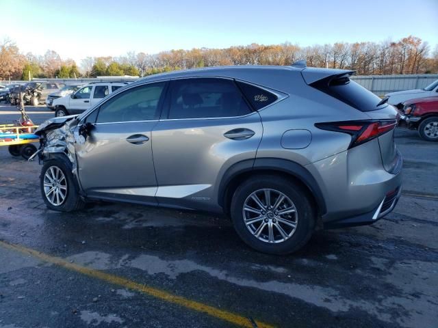 2020 Lexus NX 300H