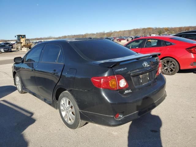 2010 Toyota Corolla Base