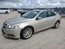 Salvage cars for sale at Houston, TX auction: 2013 Chevrolet Malibu 1LT