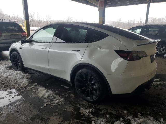 2021 Tesla Model Y