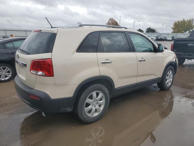 2011 KIA Sorento Base