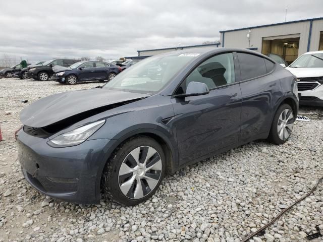 2020 Tesla Model Y