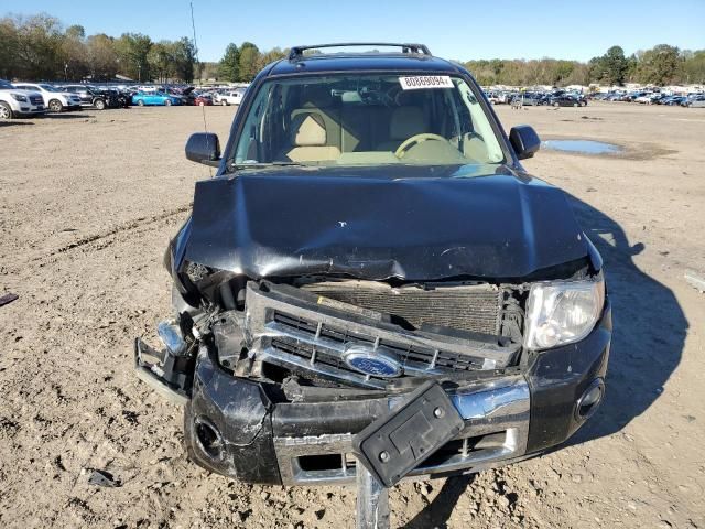 2011 Ford Escape Limited