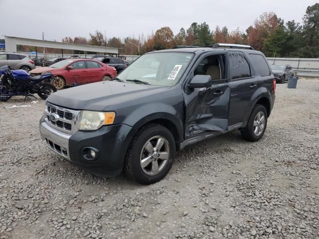 2009 Ford Escape Limited