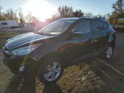 Salvage cars for sale at Baltimore, MD auction: 2013 Hyundai Tucson GLS